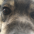 Phillip's avatar